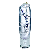 Lavander Gin Tonic